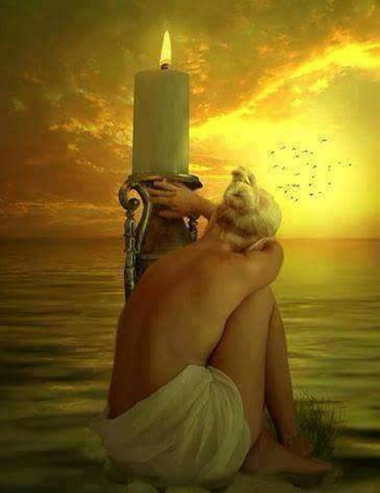 18557110_427658767612727_8473074010636022520_n