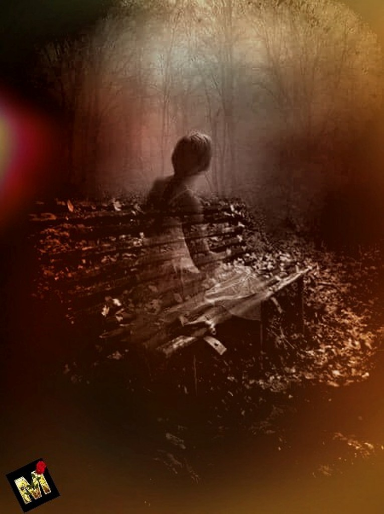 19601141_452337441811526_1950276083474306282_n