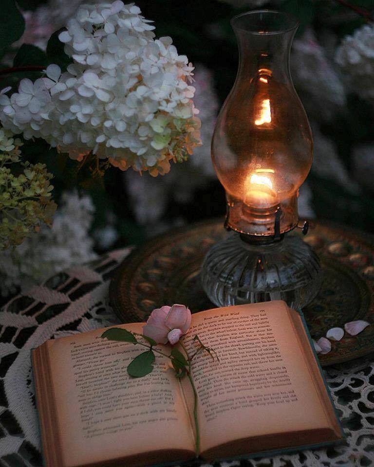 23472033_856355681196430_8704629347804747318_n