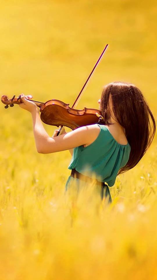 23905611_863832573782074_153451803904531280_n