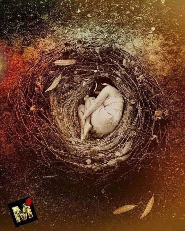 36389731_631803603864908_5968506615760945152_n