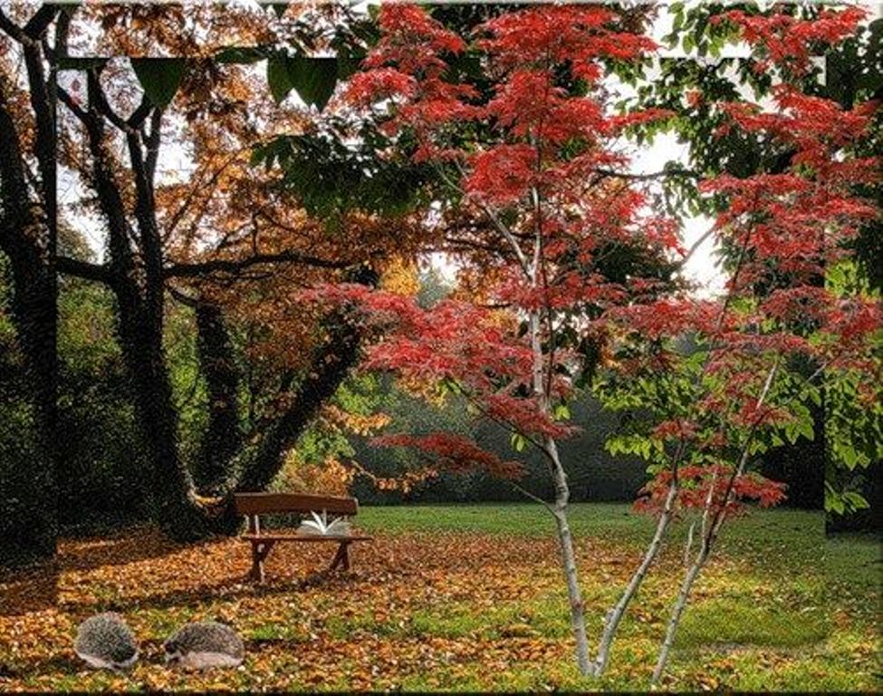 46007504_2186911431567947_4949563682490155008_n