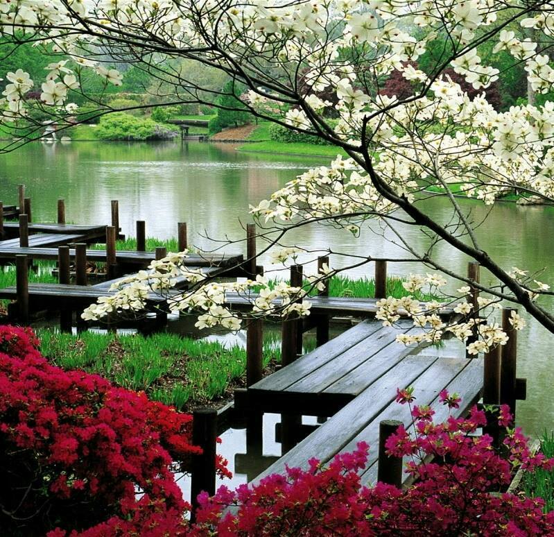 Gyönyörű-a-tavasz