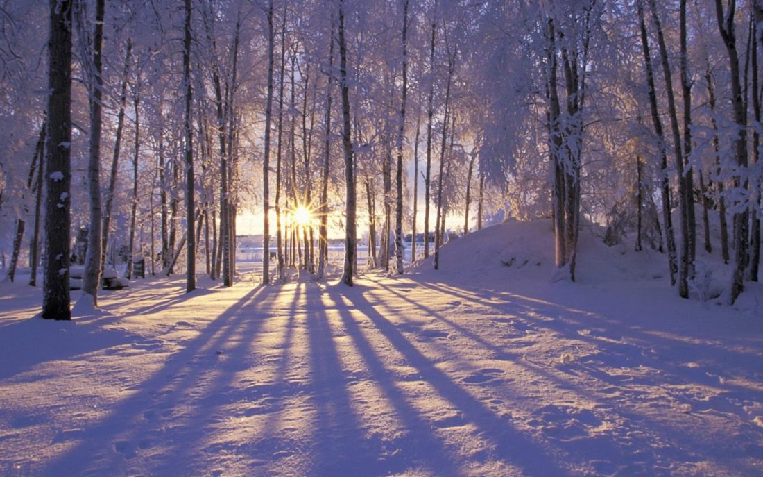 sunset-winter-shadows-wallpapers-HD-HWZ008914