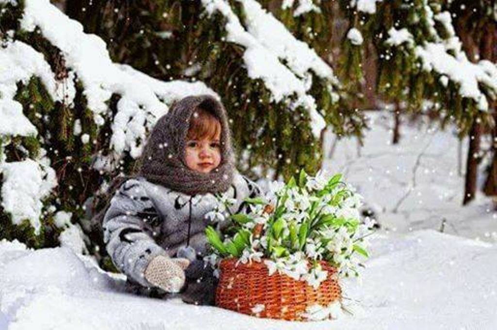 16865192_724775344354465_4744215356500588592_n