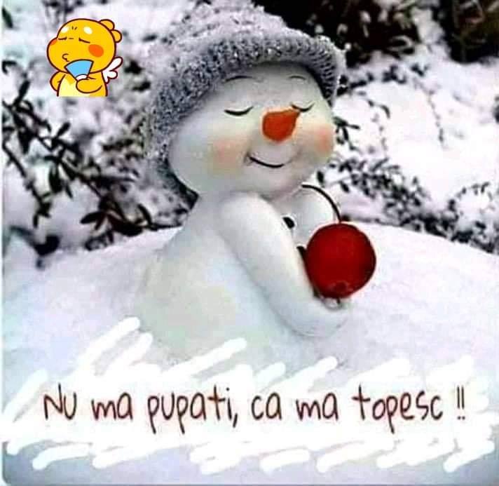 49140339_1132691776896151_3287944975739781120_n