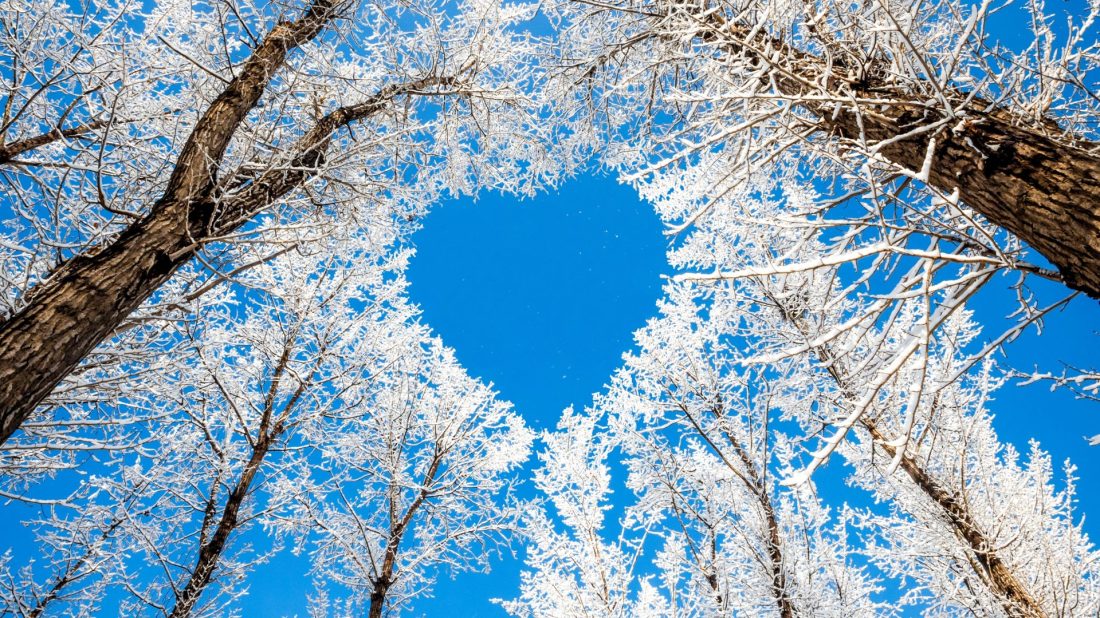 Trees Tree Nature Snow Heart Sky Winter Branches Love Awesome Hd Images