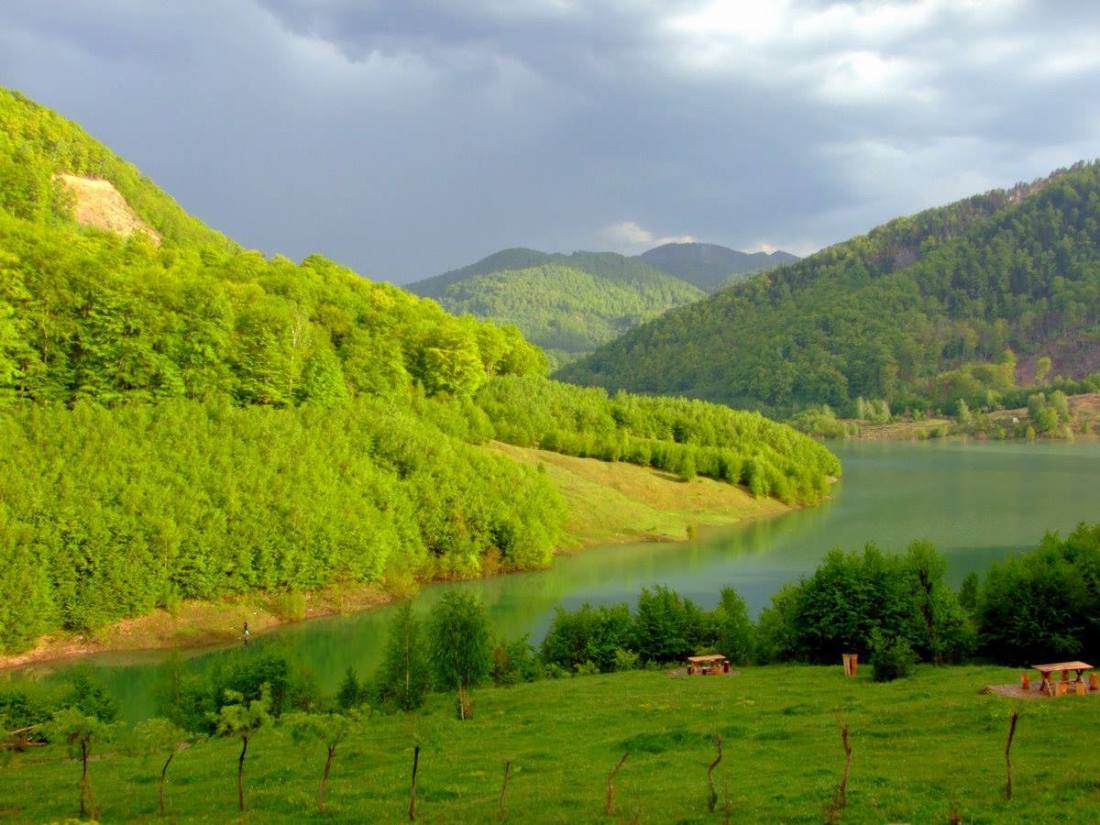 adevar sau enigma de aurelia oanca