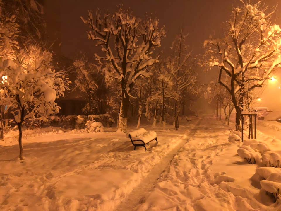 e iarna de aurelia oanca