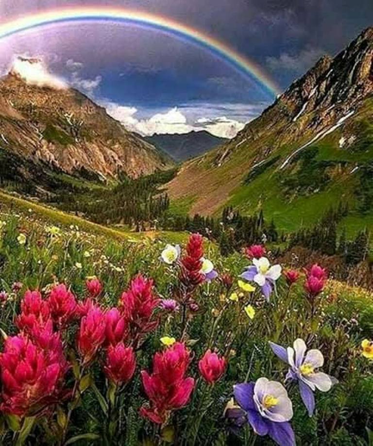 geometria sufletului de aurelia oanca