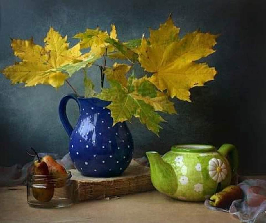 o cana cu vin de aurelia oanca