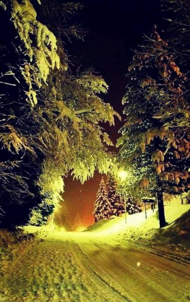 cojoacele iernii de aurelia oanca