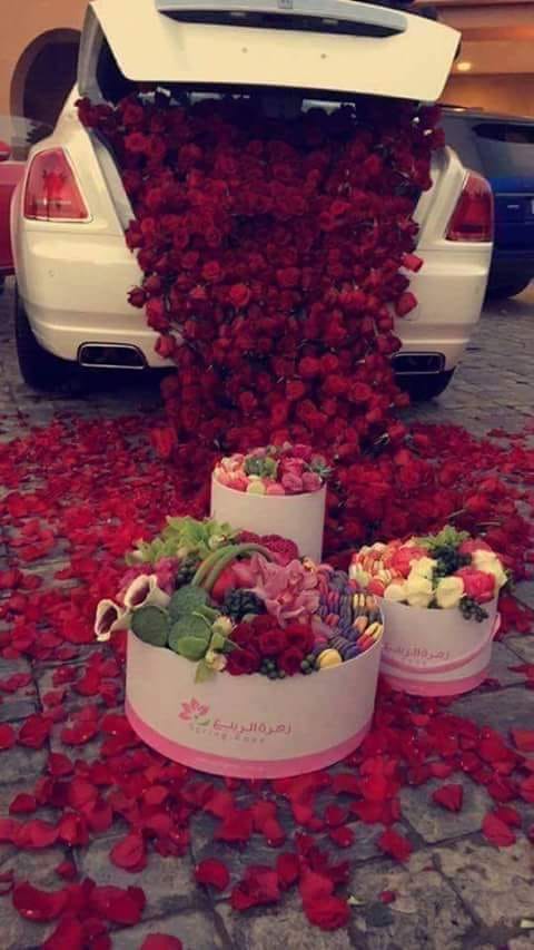 dragoste cu spini trandafitii de mihaela c d