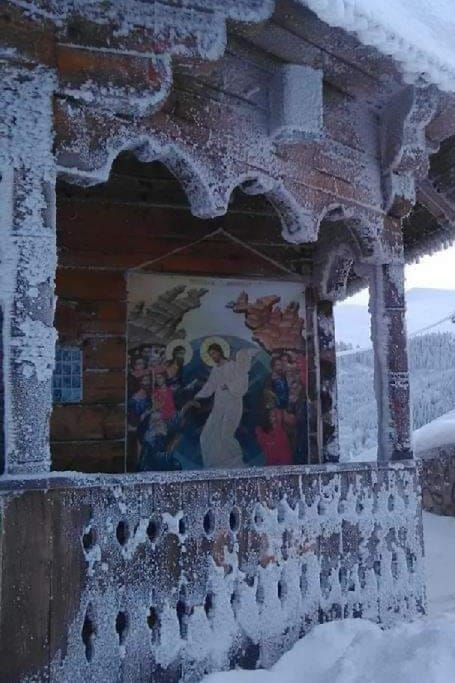 gerul bobotezei de mugurel puscas