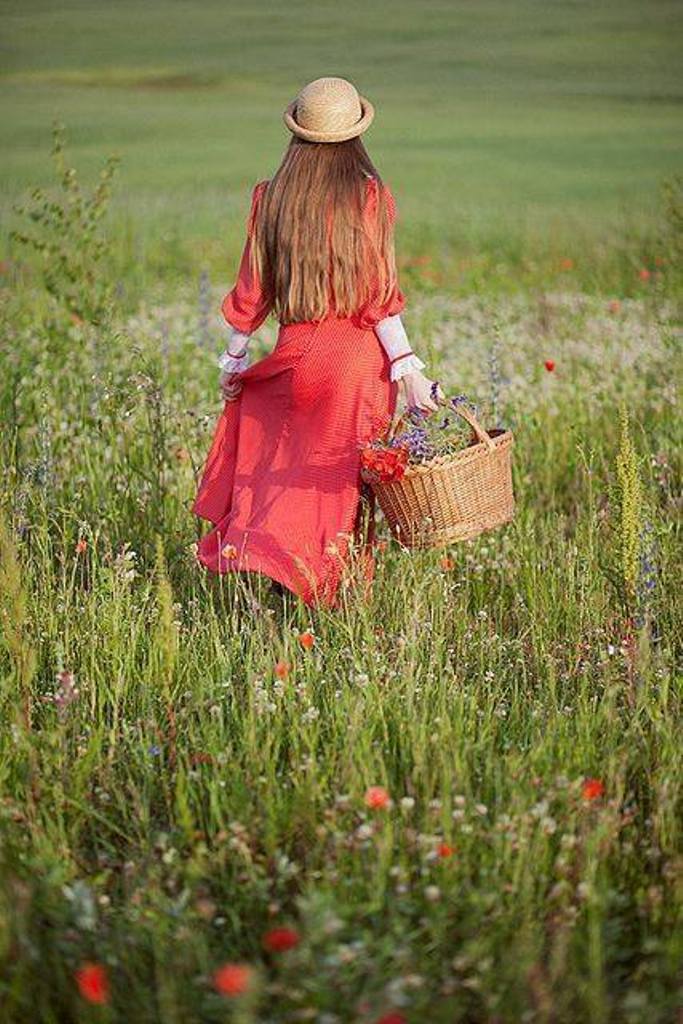 pareri de rau de aurelia oanca