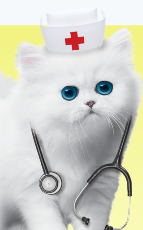 pisicuta doctorita de mihaela cd.png