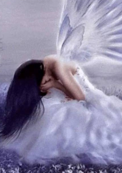 si ingerii plang de elena tudosa