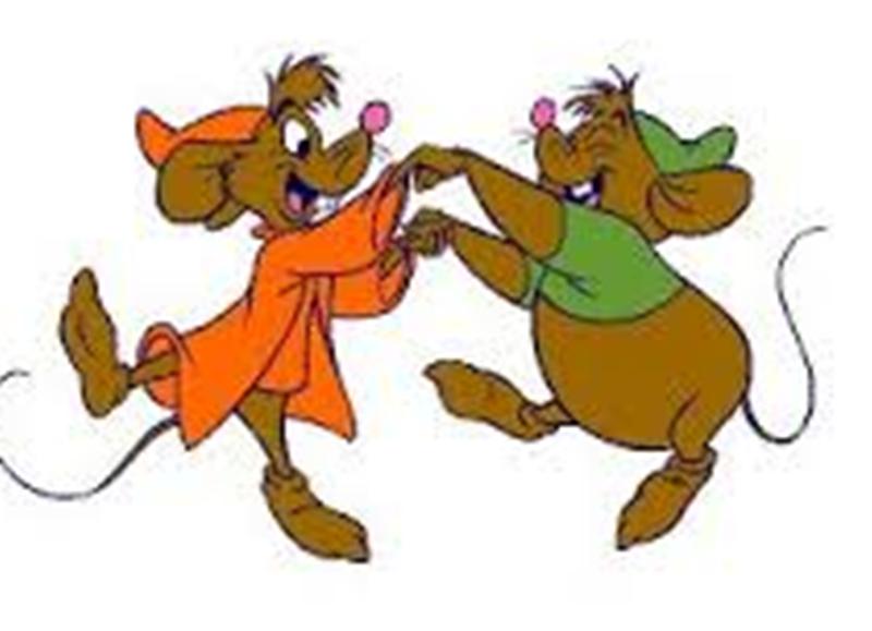 soricei pt povestea doua randunele a aurelia oanca