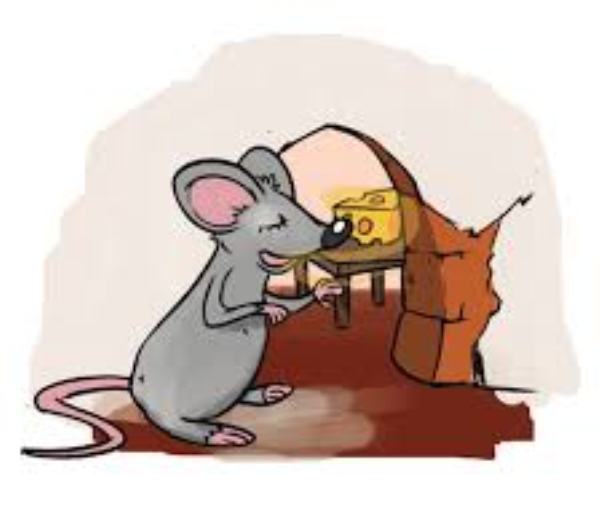 soricel aurelia oanca [povestea doua randunele]