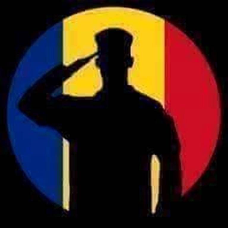 tara mea de violeta butnariu