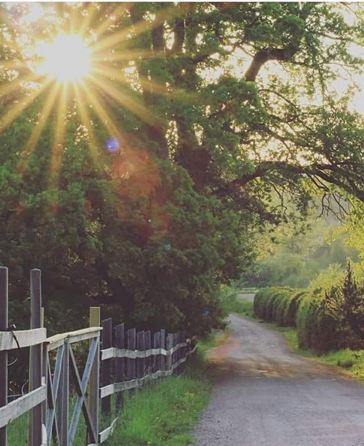 voi imbraca trecutul de aurelia oanca