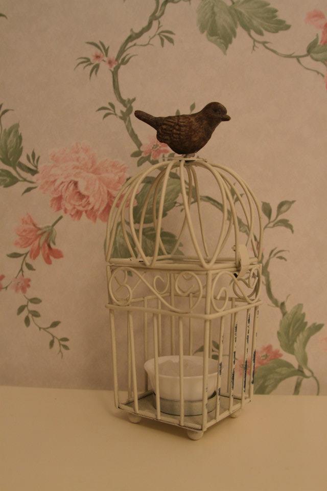 vrabiuta vitezomana de aurelia oanca