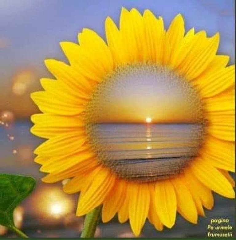 dorinte neimplinite de teodora dumitru