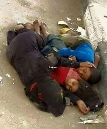 ecoul durerii de elena tudosa