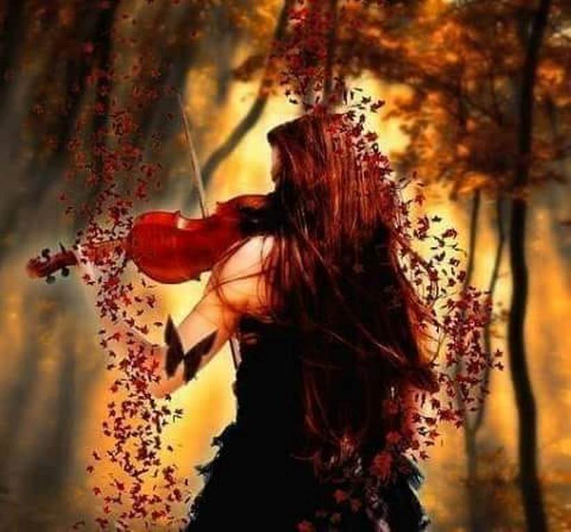 fluturi si flori de aurelia oanca