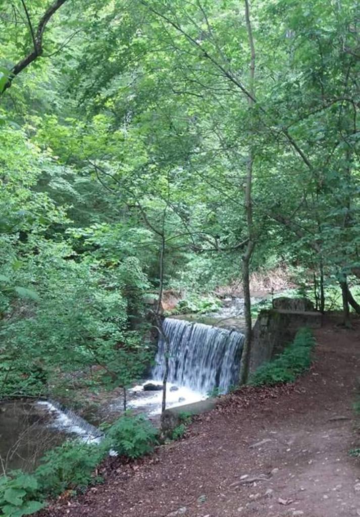 izvoras cu apa rece  de teodora dumitru.jpg