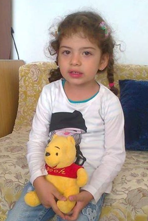 nedumerirea marutei de stefan doroftei doimaneanu