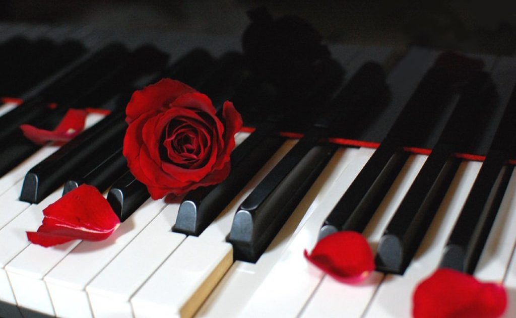 Nemuritoarele slagare de iubire de Mihaela CD