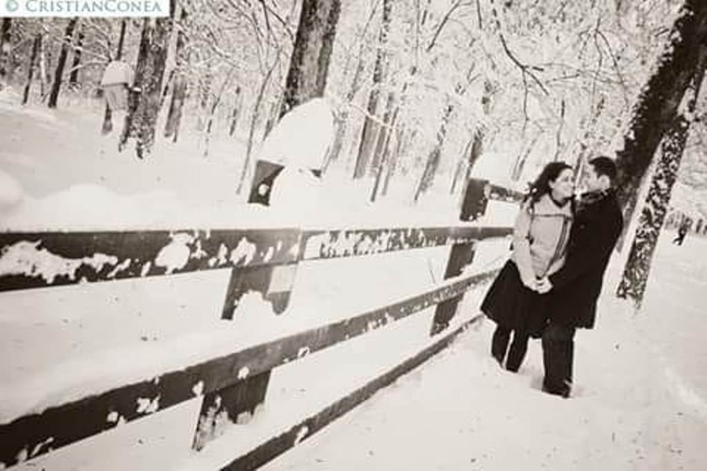 noapte alba de teodora dumitru