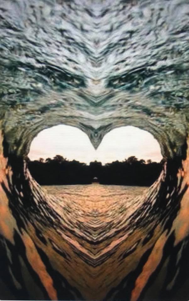 nu plange de aurelia oanca