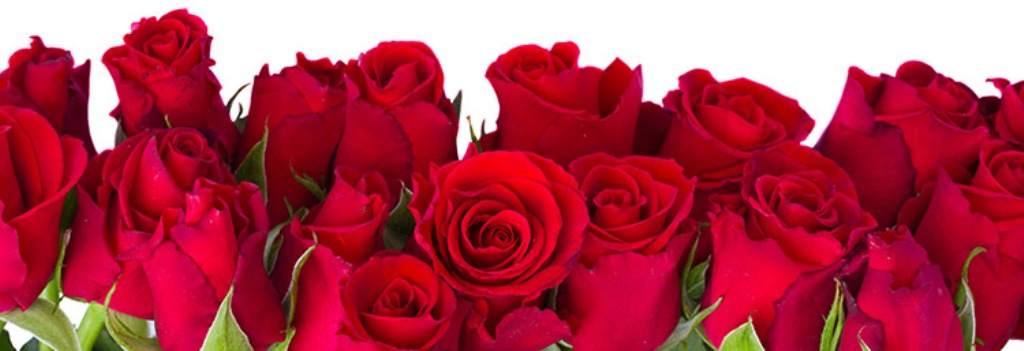 semnificatia_buchetului_de_trandafiri