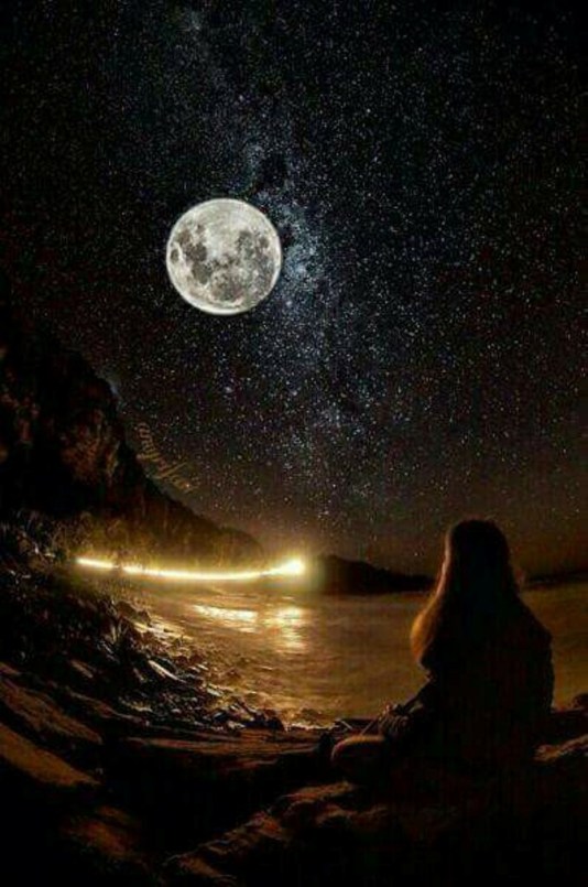 singuratate de elena tudosa