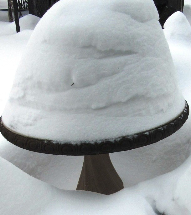 Tortul de zapada de mihaela cd