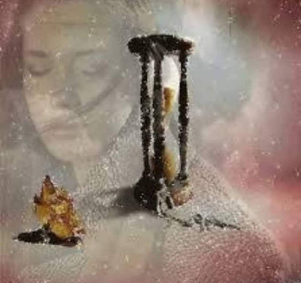 umbre din trecut de eugenia grobnic