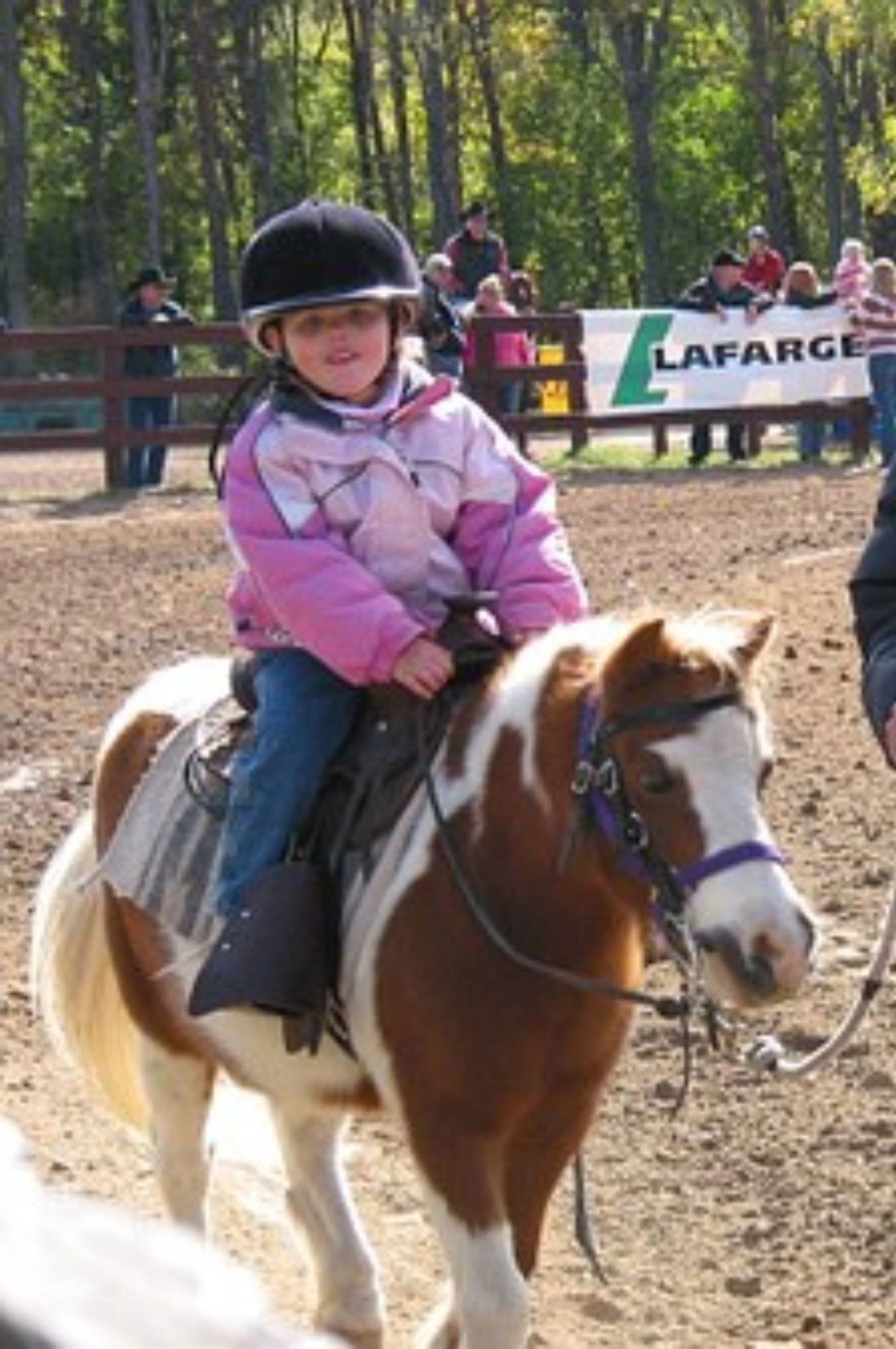 va iubesc de stefan doroftei doimaneanu