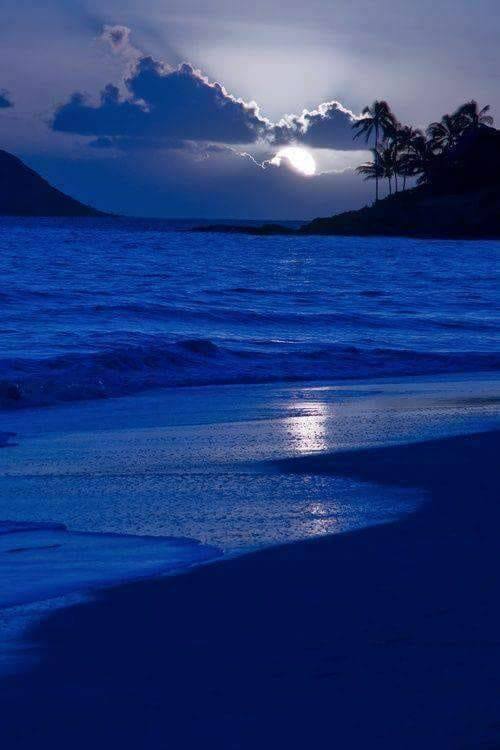 albastru regal de aurelia oanca