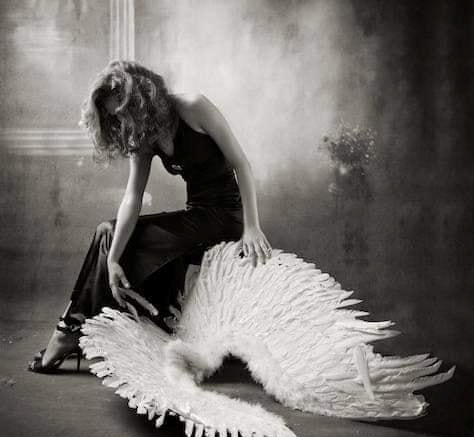 aripi frante de elena tudosa