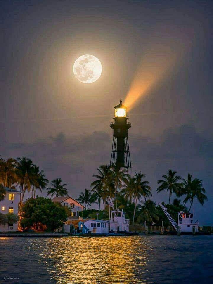 ASTEPT DE VIOLETA BUTNARIU