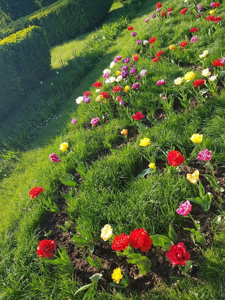 atata nedreptate de aurelia oanca