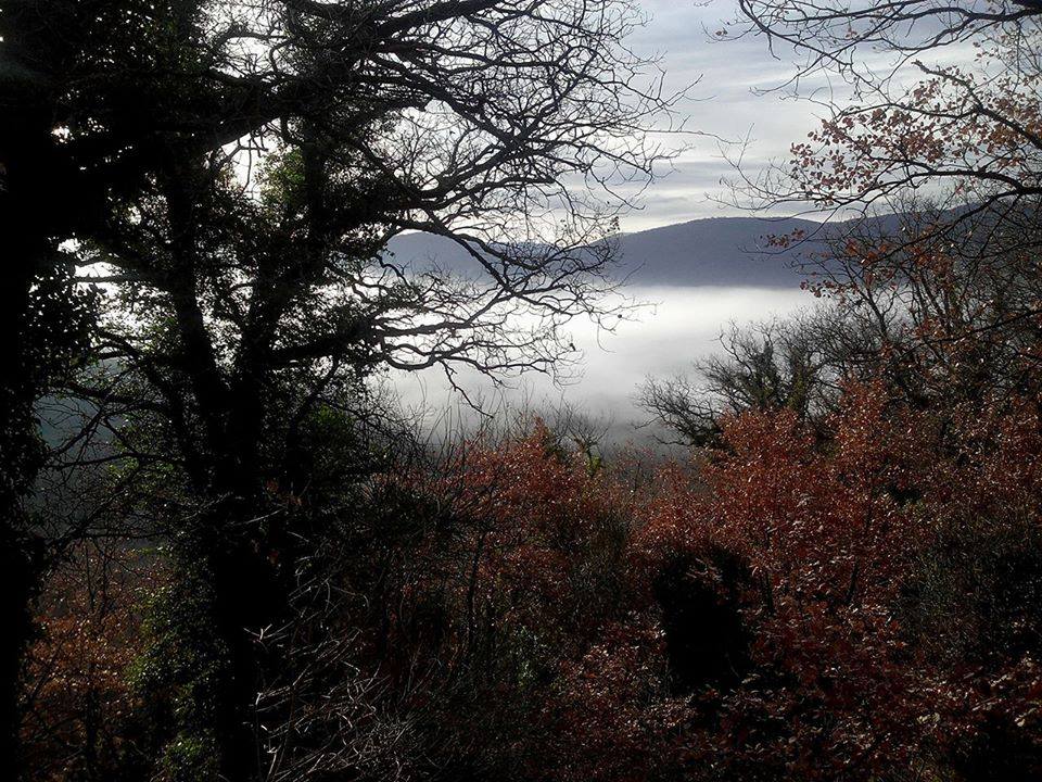 cu o clipa mai adanca  de mircea trifu.jpg