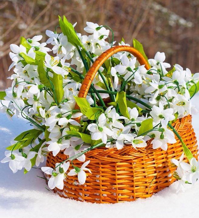 de-ai sti tu primavara de elena tudosa