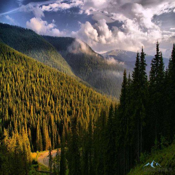 de-as putea de aurelia oanca