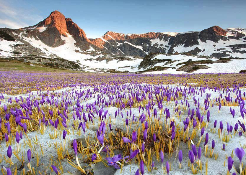degete de dor de a oanca