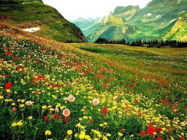 din zambet de aurelia oanca