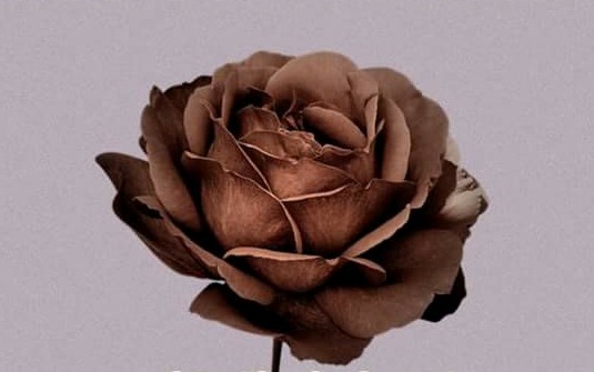 doar teama de elena tudosa