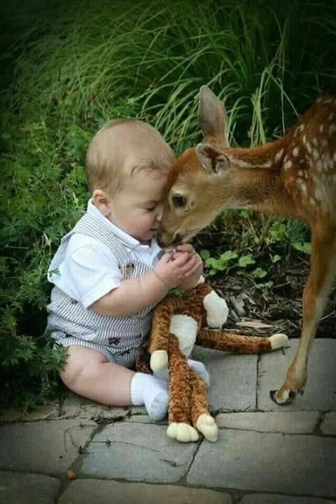 doi pui de aurelia oanca